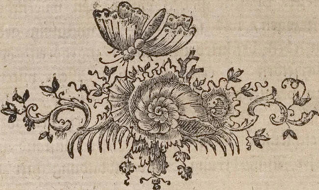 An illustration from (Band 4,1): Der europäischen Schmetterlinge Vierten Theils erster Band welcher die Eulenphalenen von Tom. IV. Tab. LXXX. Noct. 1. - Tom. IV. Tab. CXXV. Noct. 46 und Die Bogen A bis Aaa enthält, 1786, leaf 374