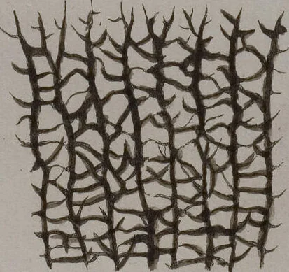 An illustration from (Band 2): Mit hundert und sechs illuminirten Kupfertafeln, 1794, leaf 328
