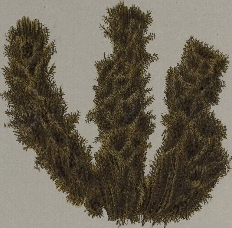 An illustration from (Band 2): Mit hundert und sechs illuminirten Kupfertafeln, 1794, leaf 332