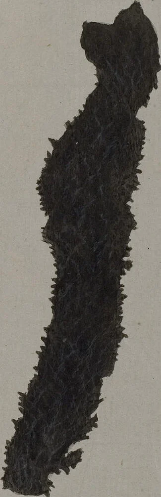 An illustration from (Band 2): Mit hundert und sechs illuminirten Kupfertafeln, 1794, leaf 349