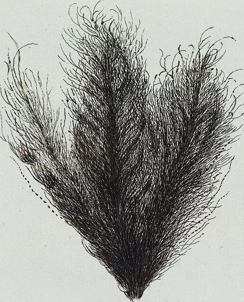 An illustration from (Band 2,1): Fünftes Heft. oder des zweitenTheils erstes Heft, 1802, leaf 89