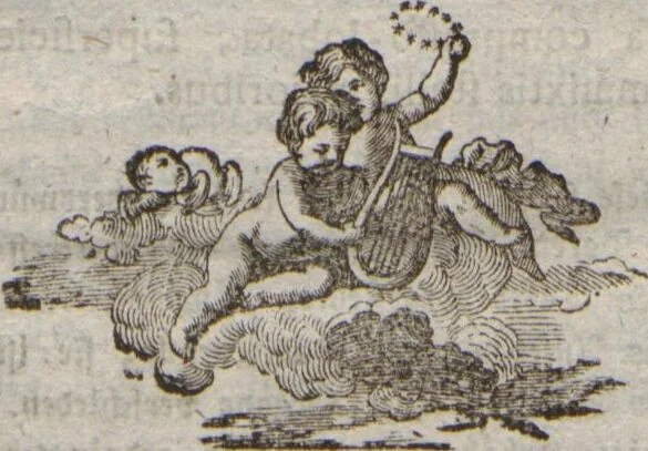 An illustration from (Band 2, Fortsetzung): Fortsetzungen der Pflanzenthiere, 1806, leaf 10
