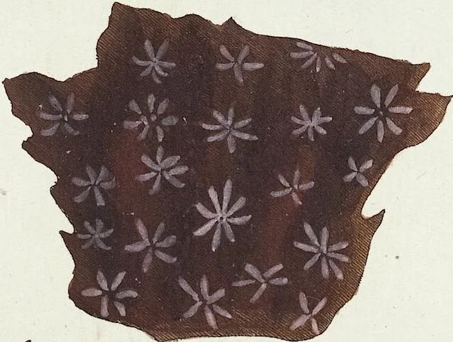 An illustration from (Band 3): Der Pflanzenthiere Dreyzehende [Vierzehende, Funfzehende, Sechzehende] Lieferung oder des dritten Theils, erste [zweyte, dritte, vierte] Lieferung, 1829, leaf 291