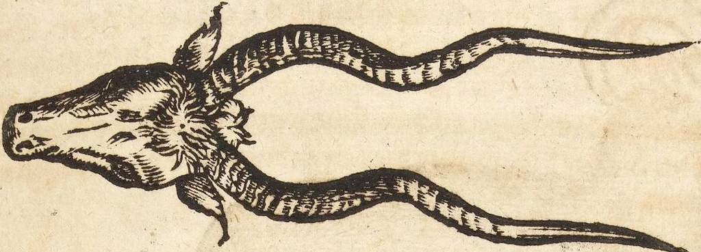 An illustration from Thierbuch Das ist ein kurtze beschreybung aller vierfüssigen Thieren/ so auff der erden vn[d] in wassern wonend/ sampt jrer waren conterfactur: alles zů nutz vn[d] gůtem allen liebhabern der künsten/ Artzeten/ Maleren/ Bildschnitzern/ Weydleüten vnd Köchen/ gestelt, 1583, leaf 149