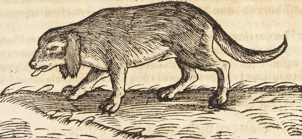 An illustration from Thierbuch Das ist ein kurtze beschreybung aller vierfüssigen Thieren/ so auff der erden vn[d] in wassern wonend/ sampt jrer waren conterfactur: alles zů nutz vn[d] gůtem allen liebhabern der künsten/ Artzeten/ Maleren/ Bildschnitzern/ Weydleüten vnd Köchen/ gestelt, 1583, leaf 198