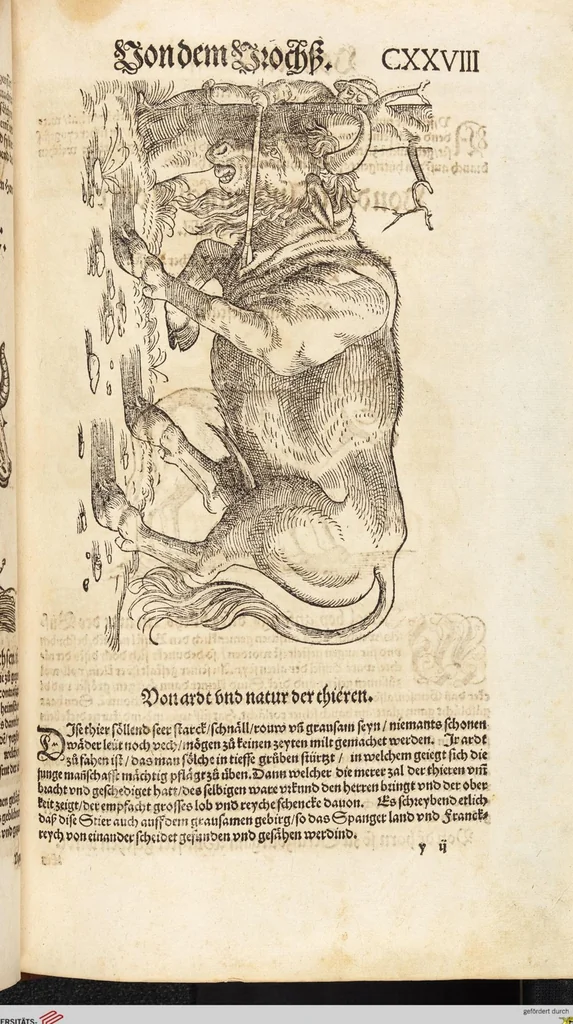An illustration from Thierbuch Das ist ein kurtze beschreybung aller vierfüssigen Thieren/ so auff der erden vn[d] in wassern wonend/ sampt jrer waren conterfactur: alles zů nutz vn[d] gůtem allen liebhabern der künsten/ Artzeten/ Maleren/ Bildschnitzern/ Weydleüten vnd Köchen/ gestelt, 1583, leaf 271