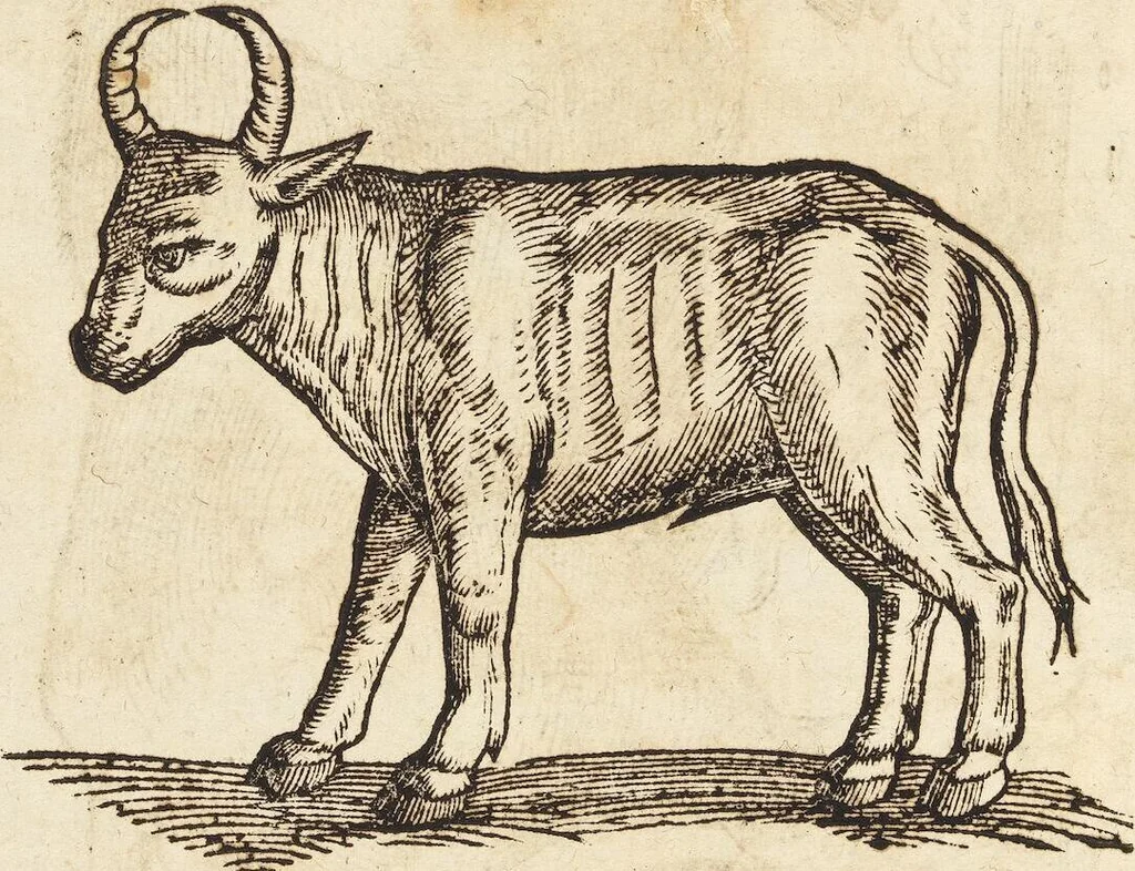 An illustration from Thierbuch Das ist ein kurtze beschreybung aller vierfüssigen Thieren/ so auff der erden vn[d] in wassern wonend/ sampt jrer waren conterfactur: alles zů nutz vn[d] gůtem allen liebhabern der künsten/ Artzeten/ Maleren/ Bildschnitzern/ Weydleüten vnd Köchen/ gestelt, 1583, leaf 272