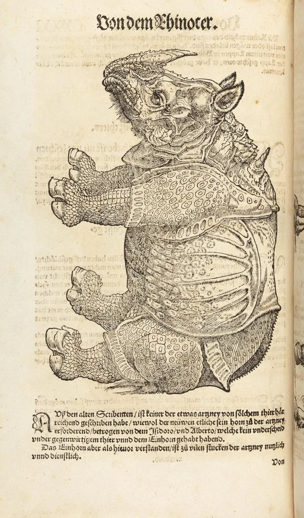 An illustration from Thierbuch Das ist ein kurtze beschreybung aller vierfüssigen Thieren/ so auff der erden vn[d] in wassern wonend/ sampt jrer waren conterfactur: alles zů nutz vn[d] gůtem allen liebhabern der künsten/ Artzeten/ Maleren/ Bildschnitzern/ Weydleüten vnd Köchen/ gestelt, 1583, leaf 278