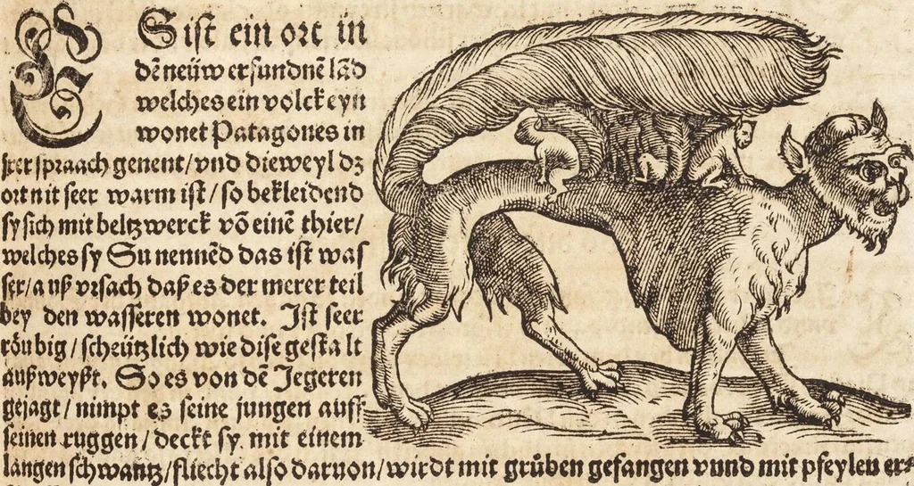 An illustration from Thierbuch Das ist ein kurtze beschreybung aller vierfüssigen Thieren/ so auff der erden vn[d] in wassern wonend/ sampt jrer waren conterfactur: alles zů nutz vn[d] gůtem allen liebhabern der künsten/ Artzeten/ Maleren/ Bildschnitzern/ Weydleüten vnd Köchen/ gestelt, 1583, leaf 311