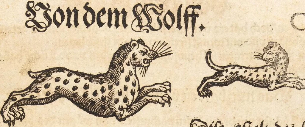 An illustration from Thierbuch Das ist ein kurtze beschreybung aller vierfüssigen Thieren/ so auff der erden vn[d] in wassern wonend/ sampt jrer waren conterfactur: alles zů nutz vn[d] gůtem allen liebhabern der künsten/ Artzeten/ Maleren/ Bildschnitzern/ Weydleüten vnd Köchen/ gestelt, 1583, leaf 327