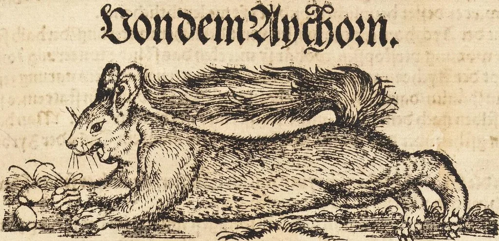 An illustration from Thierbuch Das ist ein kurtze beschreybung aller vierfüssigen Thieren/ so auff der erden vn[d] in wassern wonend/ sampt jrer waren conterfactur: alles zů nutz vn[d] gůtem allen liebhabern der künsten/ Artzeten/ Maleren/ Bildschnitzern/ Weydleüten vnd Köchen/ gestelt, 1583, leaf 41