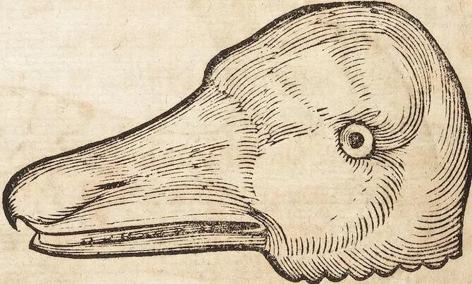 An illustration from Thierbuch Das ist ein kurtze beschreybung aller vierfüssigen Thieren/ so auff der erden vn[d] in wassern wonend/ sampt jrer waren conterfactur: alles zů nutz vn[d] gůtem allen liebhabern der künsten/ Artzeten/ Maleren/ Bildschnitzern/ Weydleüten vnd Köchen/ gestelt, 1583, leaf 100