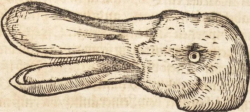 An illustration from Thierbuch Das ist ein kurtze beschreybung aller vierfüssigen Thieren/ so auff der erden vn[d] in wassern wonend/ sampt jrer waren conterfactur: alles zů nutz vn[d] gůtem allen liebhabern der künsten/ Artzeten/ Maleren/ Bildschnitzern/ Weydleüten vnd Köchen/ gestelt, 1583, leaf 101