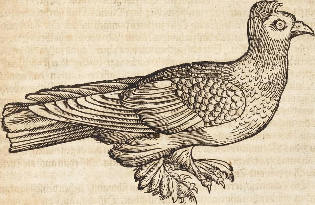 An illustration from Thierbuch Das ist ein kurtze beschreybung aller vierfüssigen Thieren/ so auff der erden vn[d] in wassern wonend/ sampt jrer waren conterfactur: alles zů nutz vn[d] gůtem allen liebhabern der künsten/ Artzeten/ Maleren/ Bildschnitzern/ Weydleüten vnd Köchen/ gestelt, 1583, leaf 523