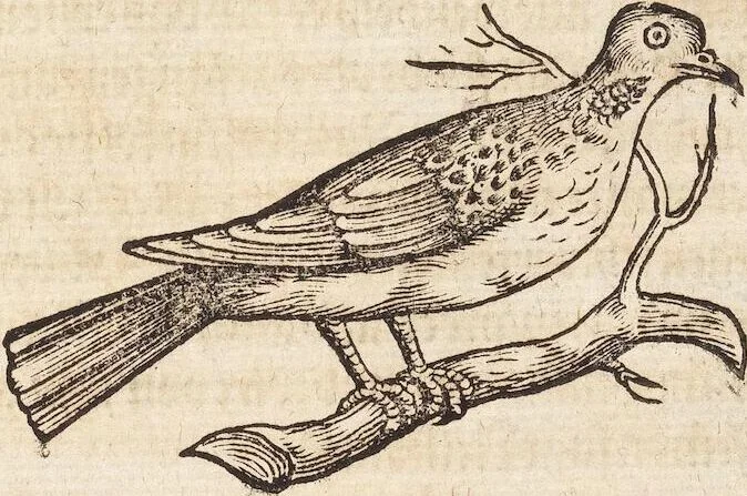 An illustration from Thierbuch Das ist ein kurtze beschreybung aller vierfüssigen Thieren/ so auff der erden vn[d] in wassern wonend/ sampt jrer waren conterfactur: alles zů nutz vn[d] gůtem allen liebhabern der künsten/ Artzeten/ Maleren/ Bildschnitzern/ Weydleüten vnd Köchen/ gestelt, 1583, leaf 545