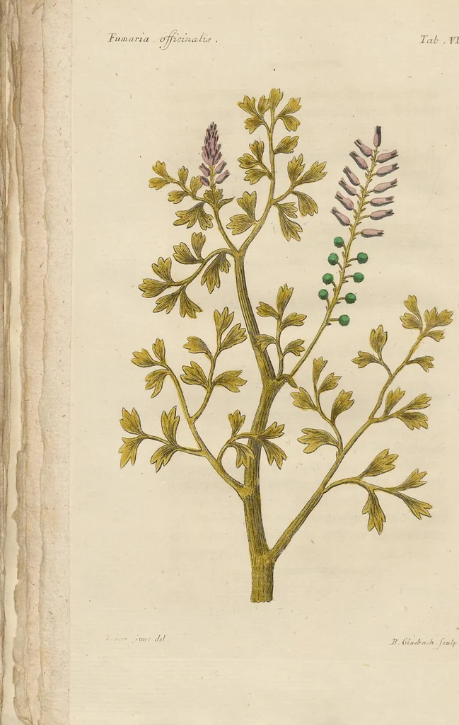 An illustration from (Erstes Heft), 1787, leaf 118