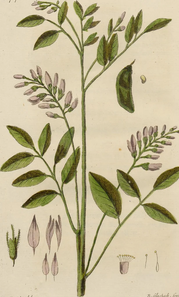 An illustration from (Erstes Heft), 1787, leaf 178