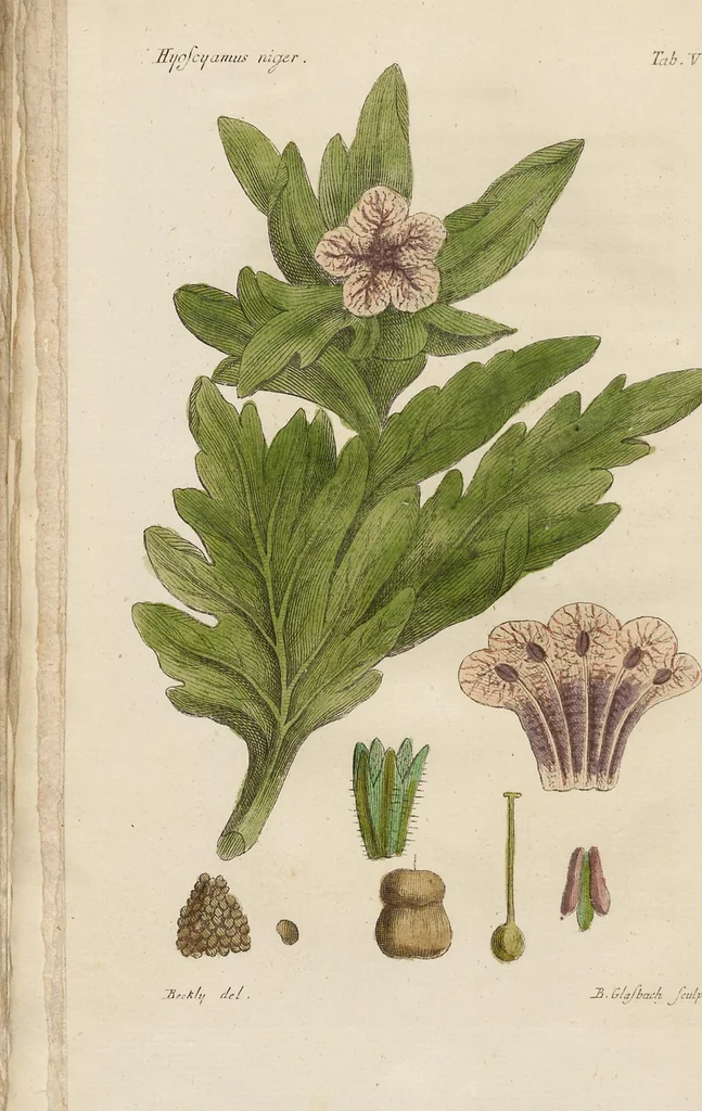 An illustration from (Erstes Heft), 1787, leaf 88