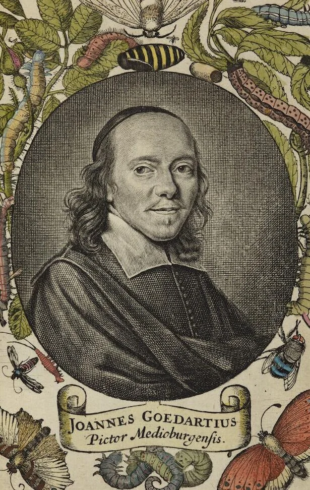 An illustration from ([Band 1]): Cum Commentariis D. Joannis de Mey Ecclesiastis Medioburgensis ac Doct. Med. & duplici ejusdem appendice, una de hemerobiis, altera de natura cometarum, et vanis ex iis divinationibus, 1662, leaf 5