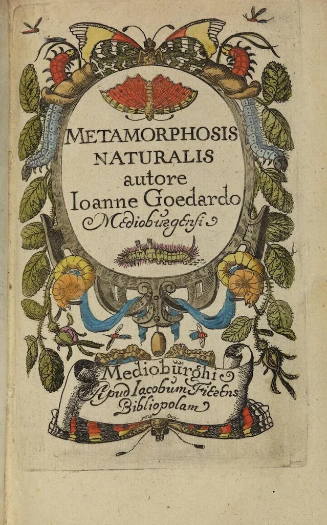 An illustration from ([Band 1]): Cum Commentariis D. Joannis de Mey Ecclesiastis Medioburgensis ac Doct. Med. & duplici ejusdem appendice, una de hemerobiis, altera de natura cometarum, et vanis ex iis divinationibus, 1662, leaf 7