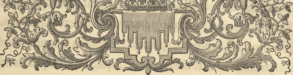 An illustration from Mvsevm Richterianvm: continens fossilia animalia vegetabilia mar., 1743, leaf 18