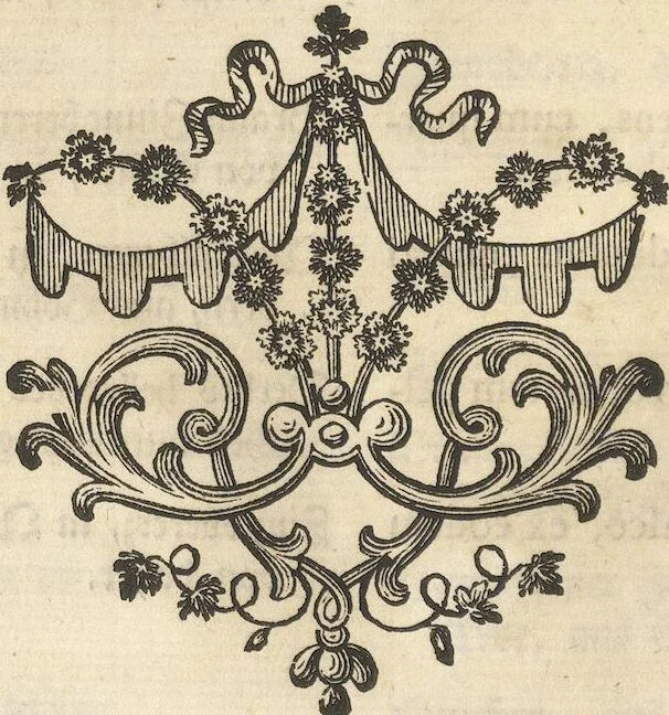 An illustration from Mvsevm Richterianvm: continens fossilia animalia vegetabilia mar., 1743, leaf 184
