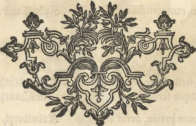 An illustration from Mvsevm Richterianvm: continens fossilia animalia vegetabilia mar., 1743, leaf 186