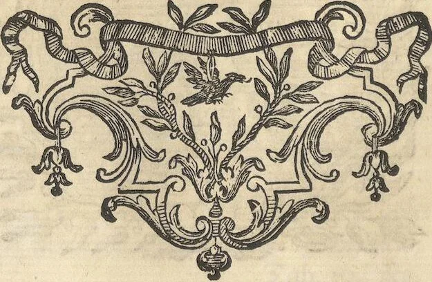 An illustration from Mvsevm Richterianvm: continens fossilia animalia vegetabilia mar., 1743, leaf 199