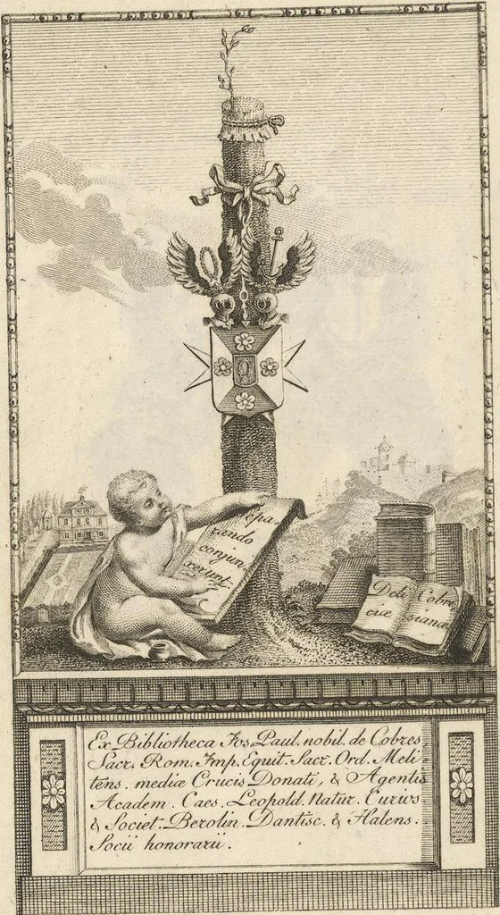 An illustration from Mvsevm Richterianvm: continens fossilia animalia vegetabilia mar., 1743, leaf 2