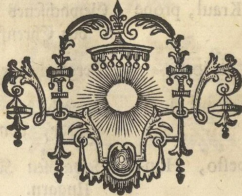 An illustration from Mvsevm Richterianvm: continens fossilia animalia vegetabilia mar., 1743, leaf 211