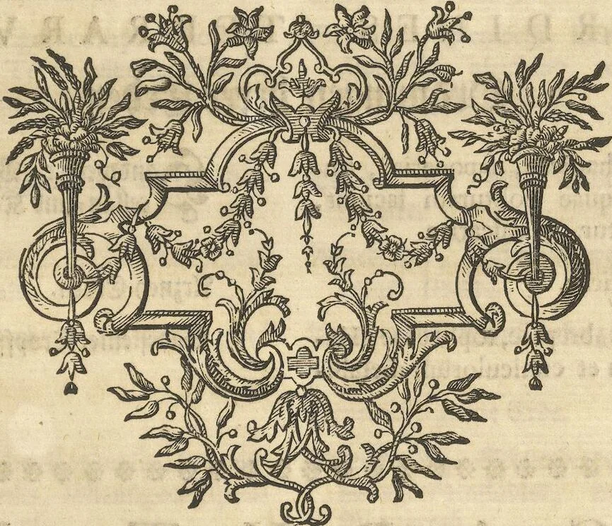 An illustration from Mvsevm Richterianvm: continens fossilia animalia vegetabilia mar., 1743, leaf 214
