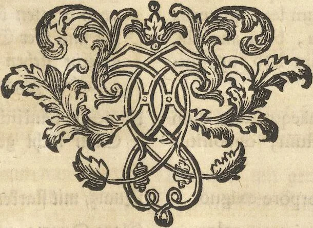 An illustration from Mvsevm Richterianvm: continens fossilia animalia vegetabilia mar., 1743, leaf 228