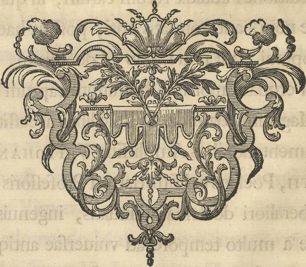 An illustration from Mvsevm Richterianvm: continens fossilia animalia vegetabilia mar., 1743, leaf 23