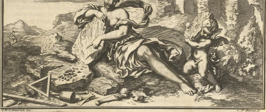 An illustration from Mvsevm Richterianvm: continens fossilia animalia vegetabilia mar., 1743, leaf 260