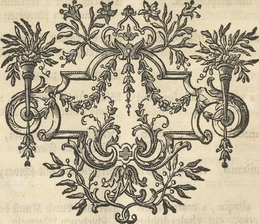 An illustration from Mvsevm Richterianvm: continens fossilia animalia vegetabilia mar., 1743, leaf 277