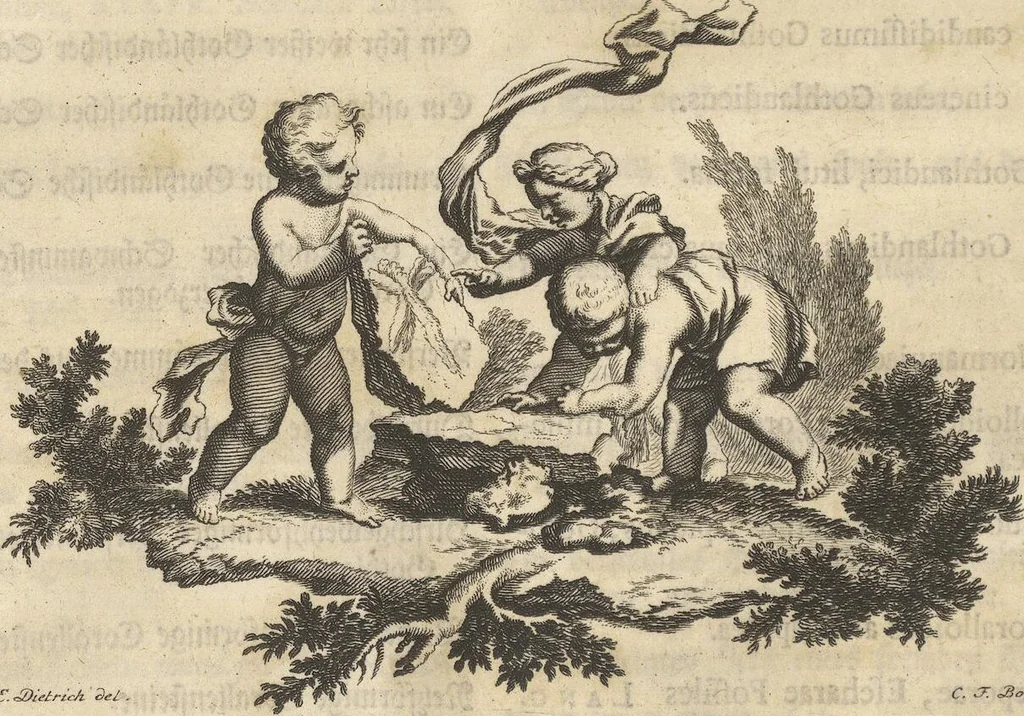 An illustration from Mvsevm Richterianvm: continens fossilia animalia vegetabilia mar., 1743, leaf 340