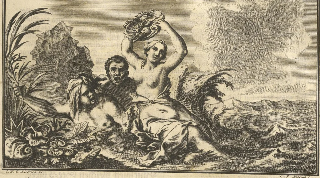 An illustration from Mvsevm Richterianvm: continens fossilia animalia vegetabilia mar., 1743, leaf 343