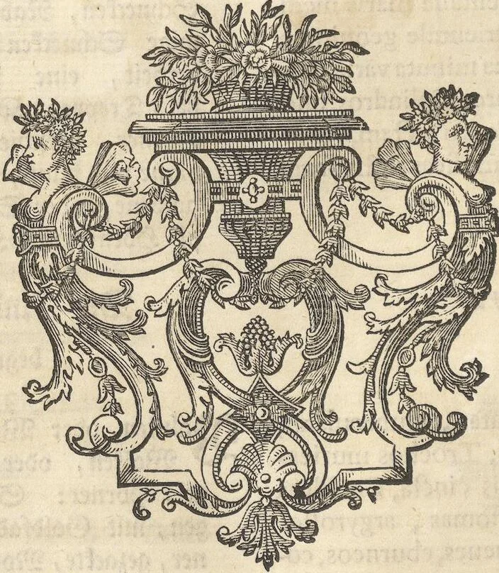 An illustration from Mvsevm Richterianvm: continens fossilia animalia vegetabilia mar., 1743, leaf 352