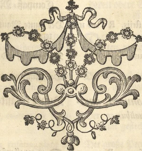 An illustration from Mvsevm Richterianvm: continens fossilia animalia vegetabilia mar., 1743, leaf 363