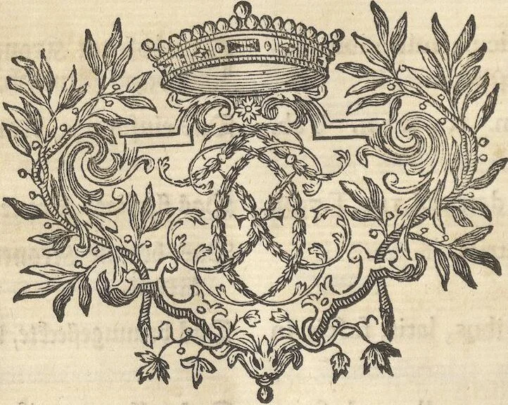 An illustration from Mvsevm Richterianvm: continens fossilia animalia vegetabilia mar., 1743, leaf 380