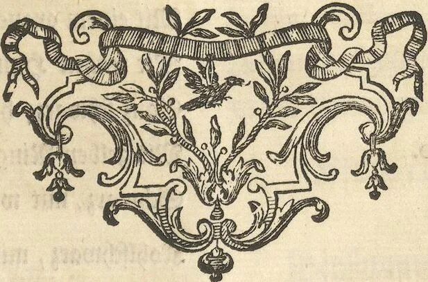 An illustration from Mvsevm Richterianvm: continens fossilia animalia vegetabilia mar., 1743, leaf 423