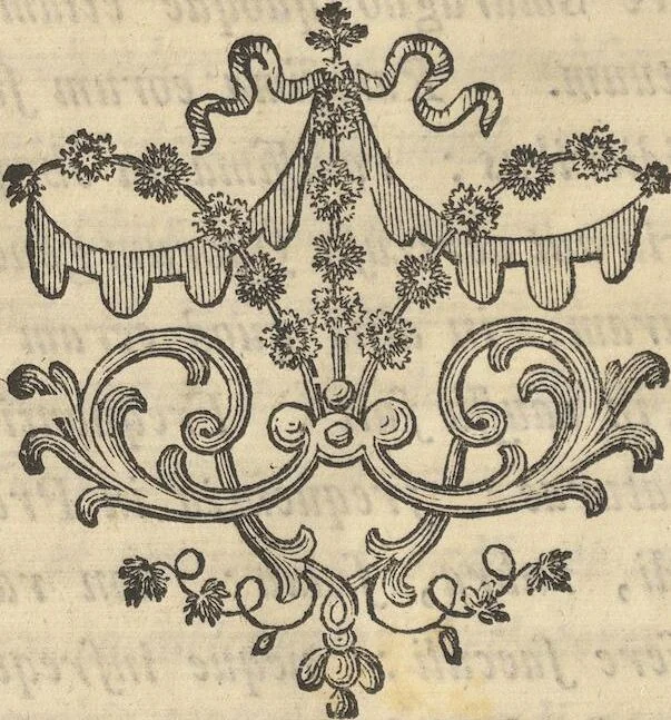 An illustration from Mvsevm Richterianvm: continens fossilia animalia vegetabilia mar., 1743, leaf 479