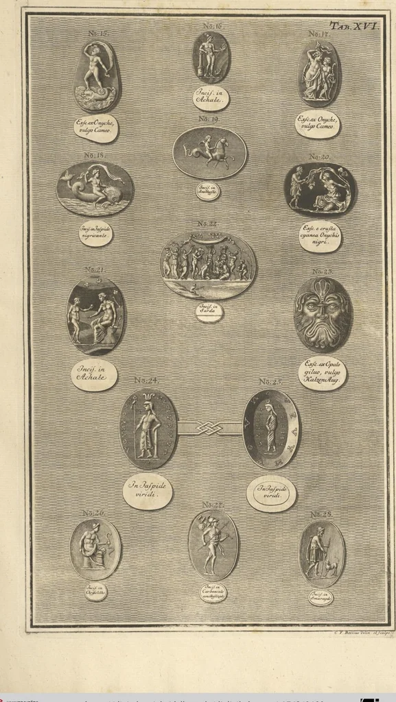 An illustration from Mvsevm Richterianvm: continens fossilia animalia vegetabilia mar., 1743, leaf 489