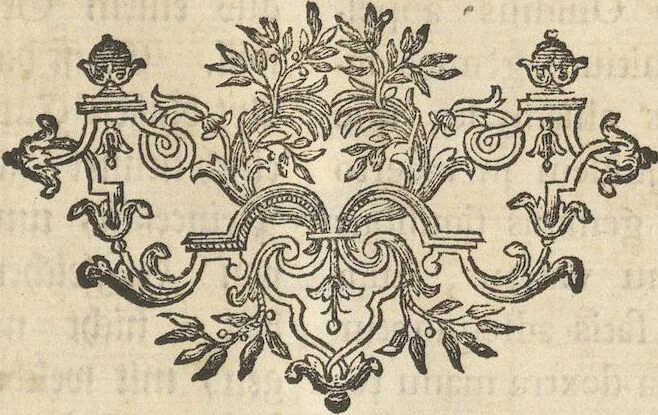 An illustration from Mvsevm Richterianvm: continens fossilia animalia vegetabilia mar., 1743, leaf 496