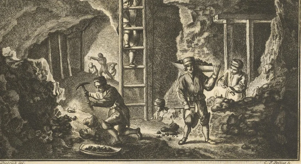 An illustration from Mvsevm Richterianvm: continens fossilia animalia vegetabilia mar., 1743, leaf 66