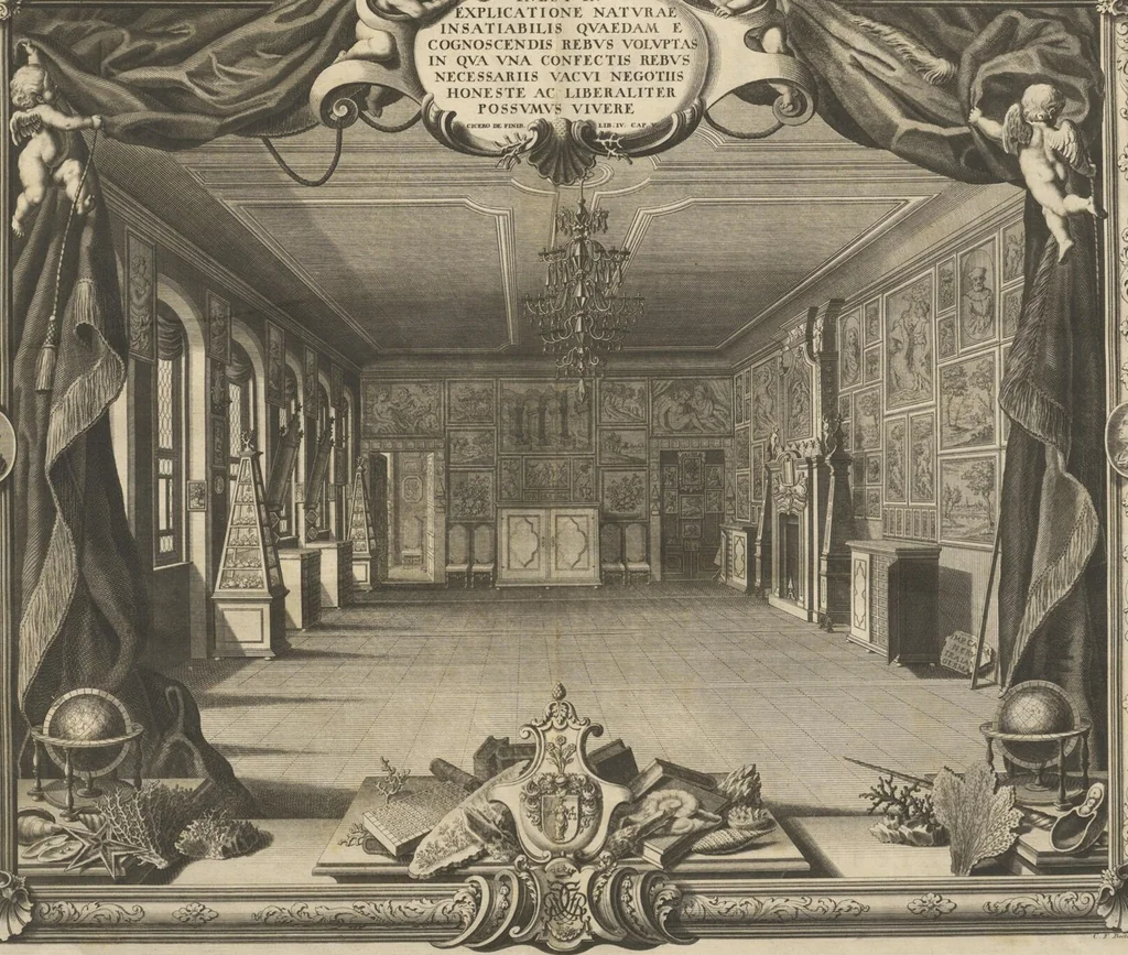 An illustration from Mvsevm Richterianvm: continens fossilia animalia vegetabilia mar., 1743, leaf 7