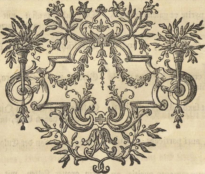 An illustration from Mvsevm Richterianvm: continens fossilia animalia vegetabilia mar., 1743, leaf 78