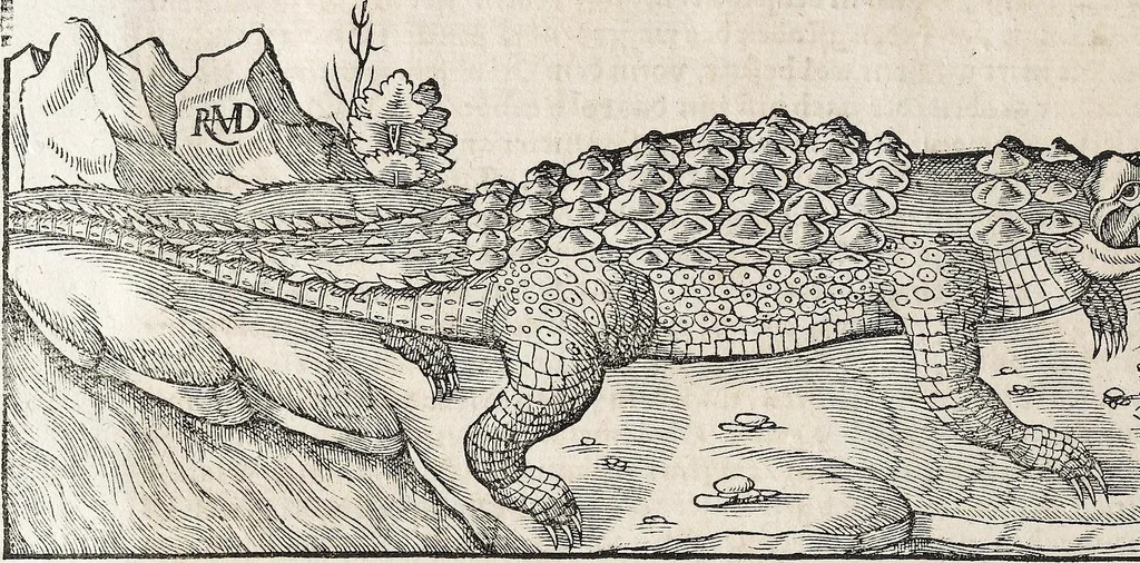 An illustration from Heydenweldt Vnd [und] irer Götter anfängcklicher vrsprung [Ursprung]: durch was verwhänungen den selben etwas vermeynter macht zugemessen, vmb dero wille[n], sie von den alten verehert worden ..., 1554, leaf 306