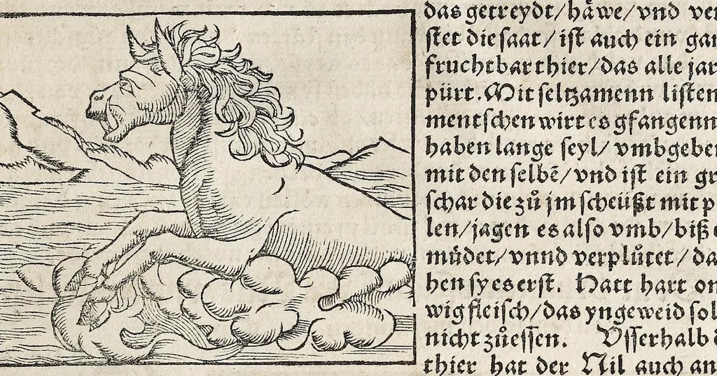 An illustration from Heydenweldt Vnd [und] irer Götter anfängcklicher vrsprung [Ursprung]: durch was verwhänungen den selben etwas vermeynter macht zugemessen, vmb dero wille[n], sie von den alten verehert worden ..., 1554, leaf 307