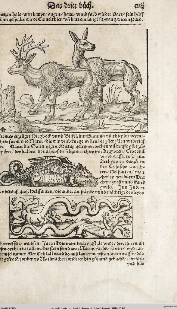 An illustration from Heydenweldt Vnd [und] irer Götter anfängcklicher vrsprung [Ursprung]: durch was verwhänungen den selben etwas vermeynter macht zugemessen, vmb dero wille[n], sie von den alten verehert worden ..., 1554, leaf 391
